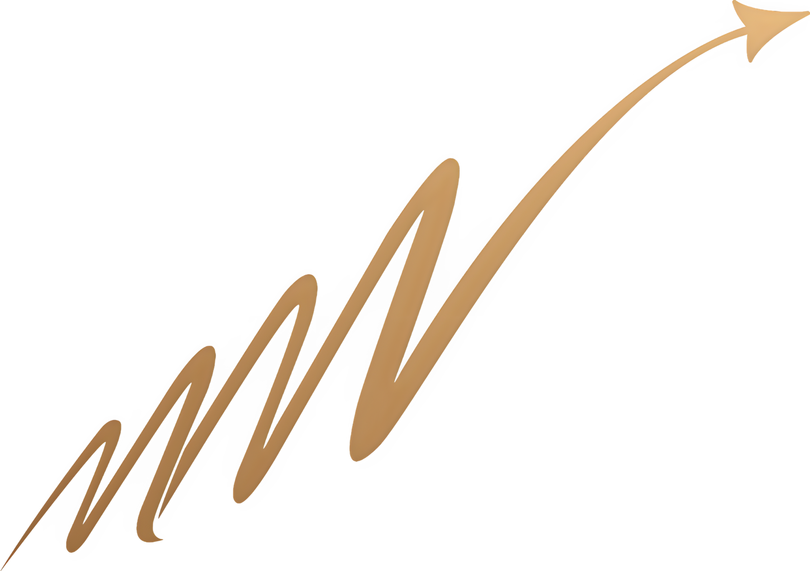 Momentum